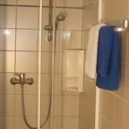 منزل للإقامة Apart Haus Florian امست